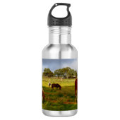 Shetland Ponies and Kastnut, 532 ml Wasserflasche (Vorderseite)