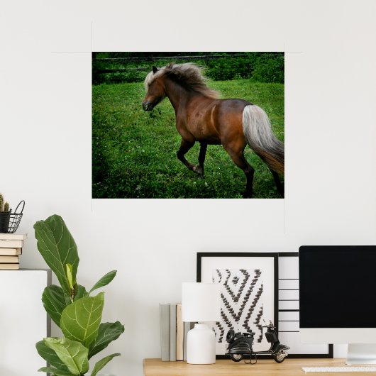 Shetland Pony 2 Poster (Heimbüro)