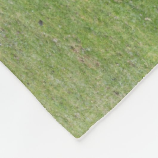 Shetland Pony auf der Alp Piazza della Riforma Fleecedecke (Ecke)