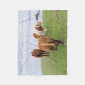 Shetland Pony auf der Alp Piazza della Riforma Fleecedecke (Vorderseite)