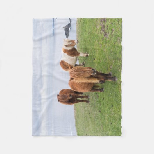 Shetland Pony auf der Alp Piazza della Riforma Fleecedecke (Vorderseite)