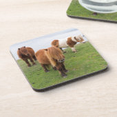 Shetland Pony auf der Alp Piazza della Riforma Getränkeuntersetzer (Linke Seite)