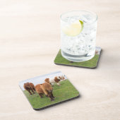 Shetland Pony auf der Alp Piazza della Riforma Getränkeuntersetzer (Rechte Seite)