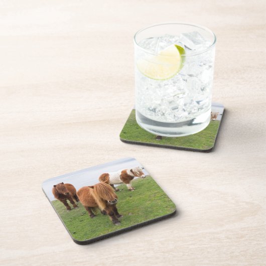 Shetland Pony auf der Alp Piazza della Riforma Getränkeuntersetzer (Rechte Seite)