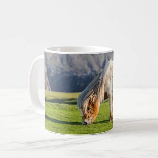 Shetland Pony auf der Alp Piazza della Riforma Kaffeetasse (Vorderseite Links)