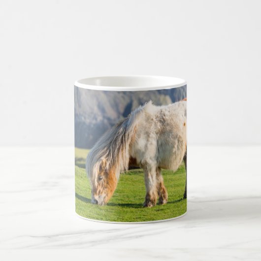 Shetland Pony auf der Alp Piazza della Riforma Kaffeetasse (Mittel)