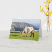 Shetland Pony auf der Alp Piazza della Riforma Karte (Gelbe Blume)