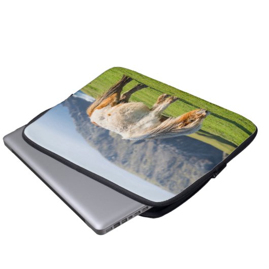 Shetland Pony auf der Alp Piazza della Riforma Laptopschutzhülle (Vorne Knopf)