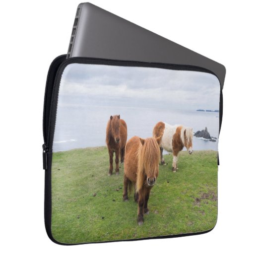 Shetland Pony auf der Alp Piazza della Riforma Laptopschutzhülle (Vorne Rechts)