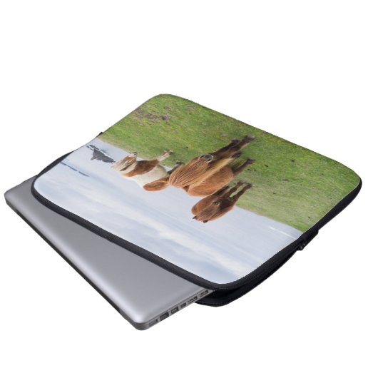 Shetland Pony auf der Alp Piazza della Riforma Laptopschutzhülle (Vorne Knopf)
