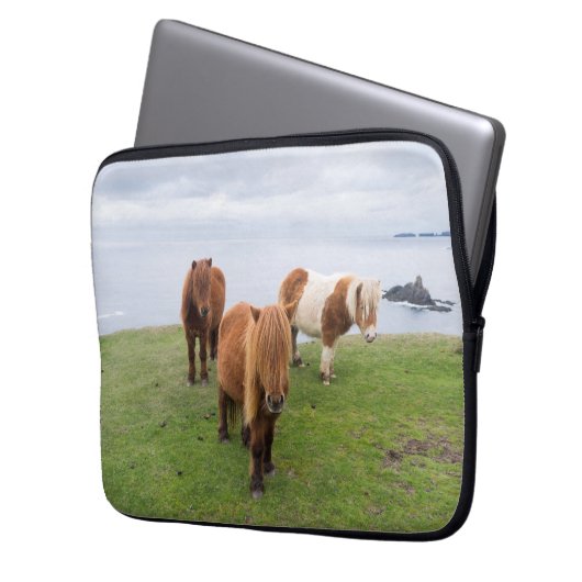 Shetland Pony auf der Alp Piazza della Riforma Laptopschutzhülle (Vorderseite Links)