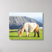 Shetland Pony auf der Alp Piazza della Riforma Leinwanddruck (Vorderseite)