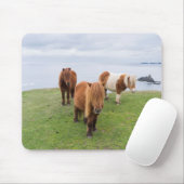 Shetland Pony auf der Alp Piazza della Riforma Mousepad (Mit Mouse)