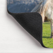 Shetland Pony auf der Alp Piazza della Riforma Mousepad (Ecke)