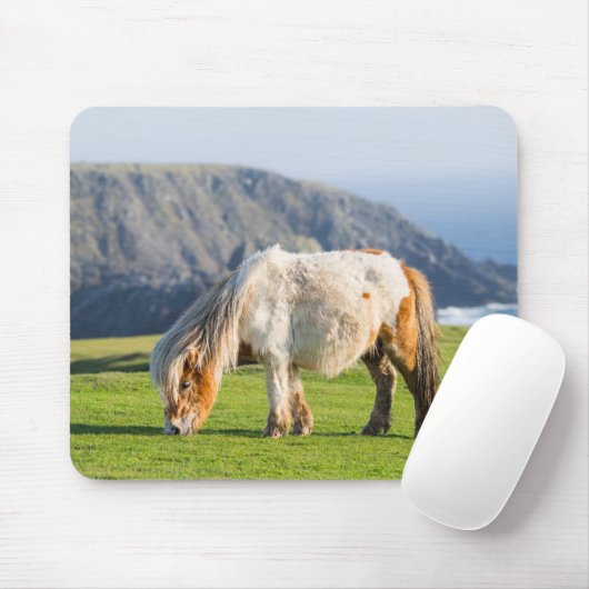 Shetland Pony auf der Alp Piazza della Riforma Mousepad (Mit Mouse)