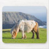Shetland Pony auf der Alp Piazza della Riforma Mousepad (Vorne)
