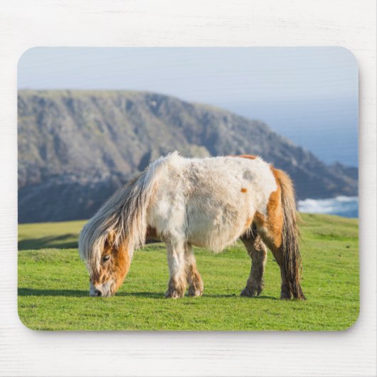 Shetland Pony auf der Alp Piazza della Riforma Mousepad (Vorne)