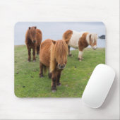 Shetland Pony auf der Alp Piazza della Riforma Mousepad (Mit Mouse)