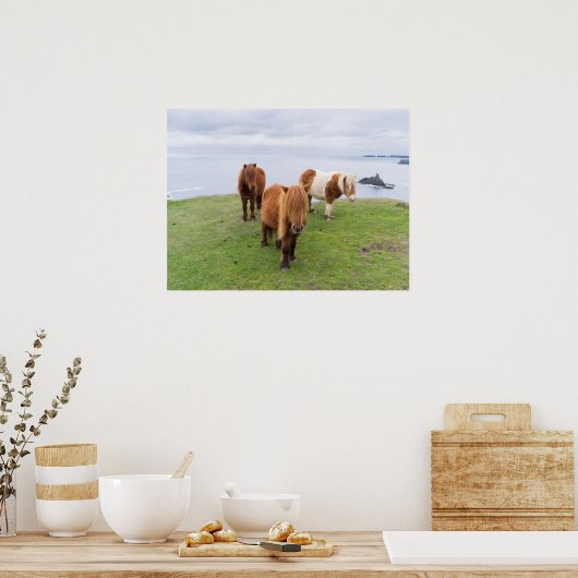 Shetland Pony auf der Alp Piazza della Riforma Poster (Küche)