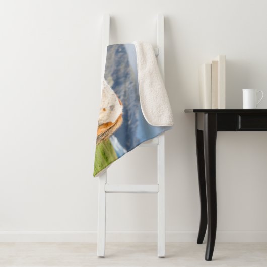 Shetland Pony auf der Alp Piazza della Riforma Sherpadecke (Beispiel)