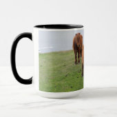 Shetland Pony auf der Alp Piazza della Riforma Tasse (Links)