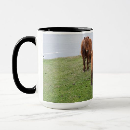 Shetland Pony auf der Alp Piazza della Riforma Tasse (Links)