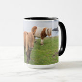 Shetland Pony auf der Alp Piazza della Riforma Tasse (VorderseiteRechts)