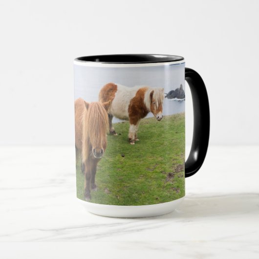Shetland Pony auf der Alp Piazza della Riforma Tasse (VorderseiteRechts)