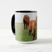 Shetland Pony auf der Alp Piazza della Riforma Tasse (Vorderseite Links)