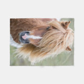 Shetland Pony auf der Insel Unst Fleecedecke (Vorderseite (Horizontal))