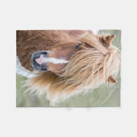 Shetland Pony auf der Insel Unst Fleecedecke (Vorderseite (Horizontal))