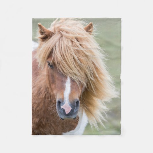 Shetland Pony auf der Insel Unst Fleecedecke (Vorderseite)