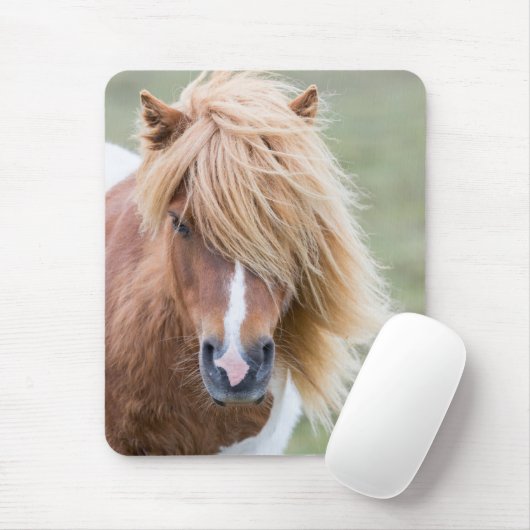 Shetland Pony auf der Insel Unst Mousepad (Mit Mouse)
