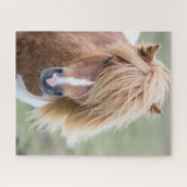 Shetland Pony auf der Insel Unst Puzzle (Horizontal)