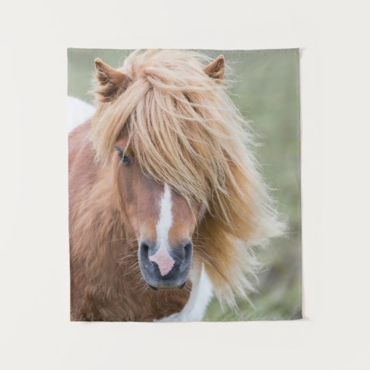 Shetland Pony auf der Insel Unst Wandteppich (Vorderseite)