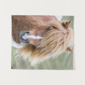Shetland Pony auf der Insel Unst Wandteppich (Vorderseite (Horizontal))
