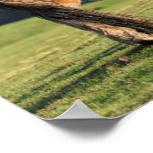 Shetland Pony auf Weideland in der Nähe von hohen  Poster (Ecke)