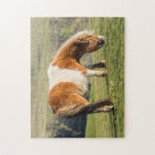 Shetland Pony auf Weideland in der Nähe von hohen Puzzle (Vertikal)