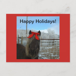 Shetland Pony Christmas Card Feiertagspostkarte