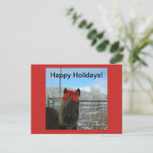 Shetland Pony Christmas Card Feiertagspostkarte (Stehend Vorderseite)