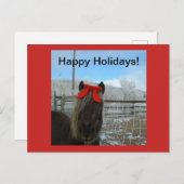 Shetland Pony Christmas Card Feiertagspostkarte (Vorne/Hinten)