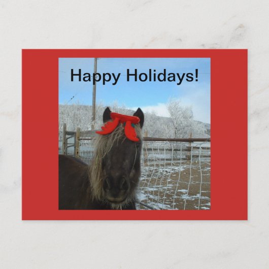 Shetland Pony Christmas Card Feiertagspostkarte (Vorderseite)