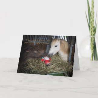 Shetland pony Christmas Feiertagskarte
