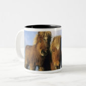 Shetland Pony, Festland Shetland Islands, Zweifarbige Tasse (Vorderseite Links)