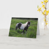 Shetland Pony Hengst Stehend im Gras Karte (Gelbe Blume)