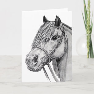 Shetland Pony Karte