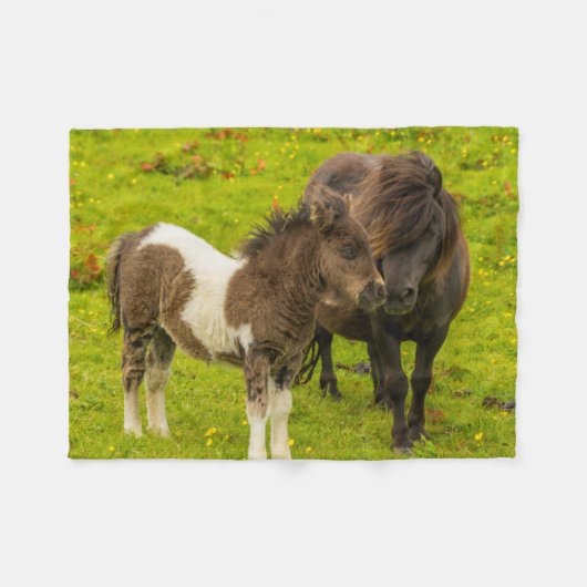 Shetland Pony Mother and Offspring Fleecedecke (Vorderseite (Horizontal))