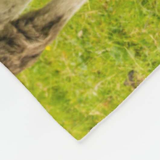 Shetland Pony Mother and Offspring Fleecedecke (Ecke)