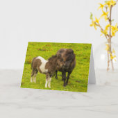 Shetland Pony Mother and Offspring Karte (Gelbe Blume)