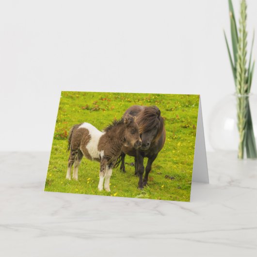 Shetland Pony Mother and Offspring Karte (Vorderseite)